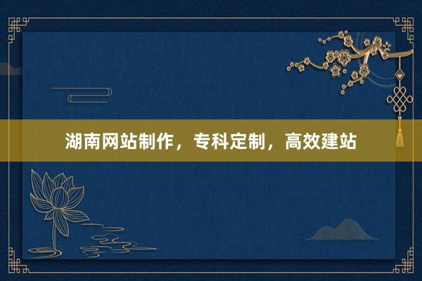 湖南网站制作，专科定制，高效建站